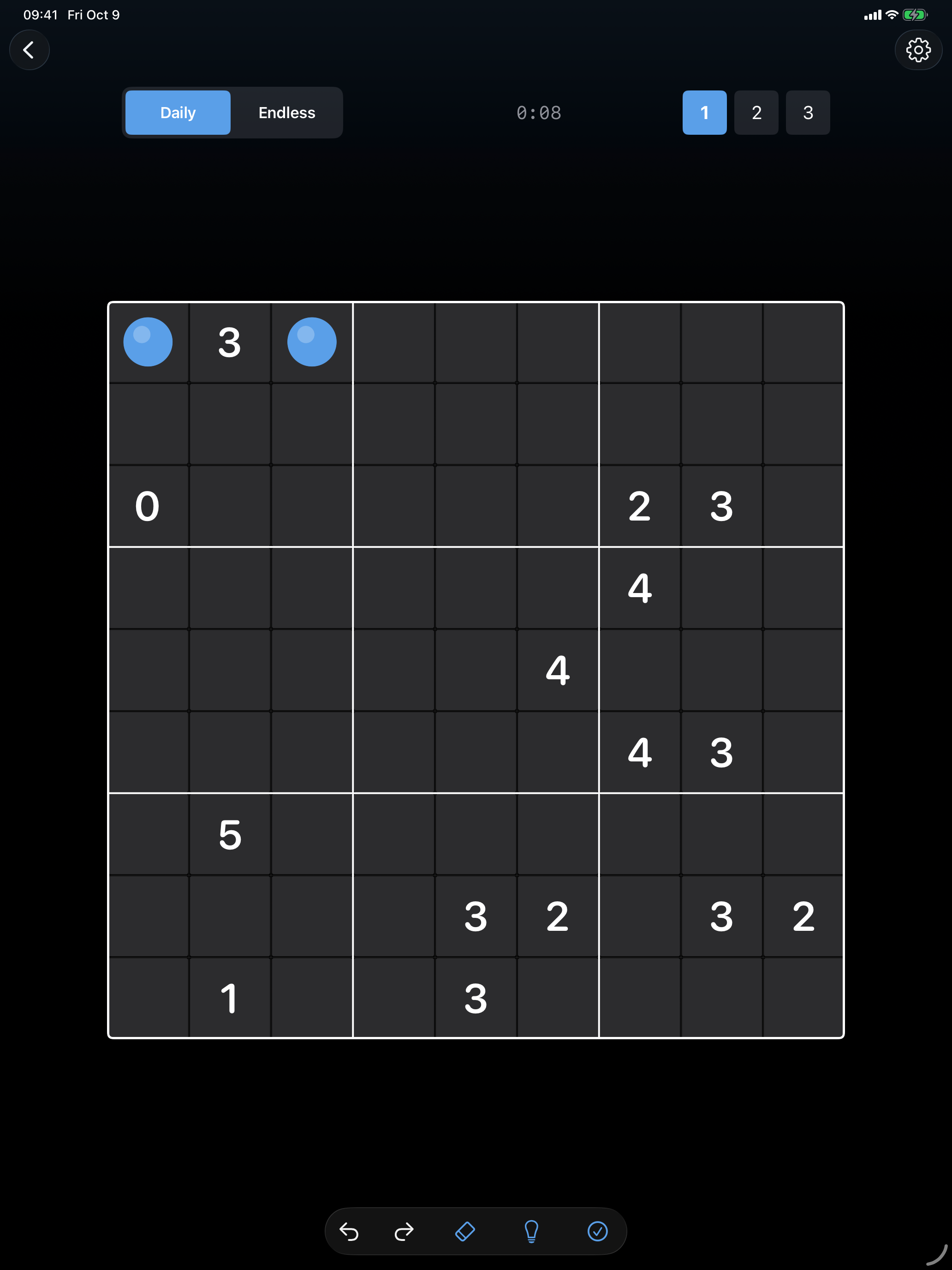Actual portrait iPad gameplay with a spacious Berroku grid and undo, redo, erase, hint and check controls